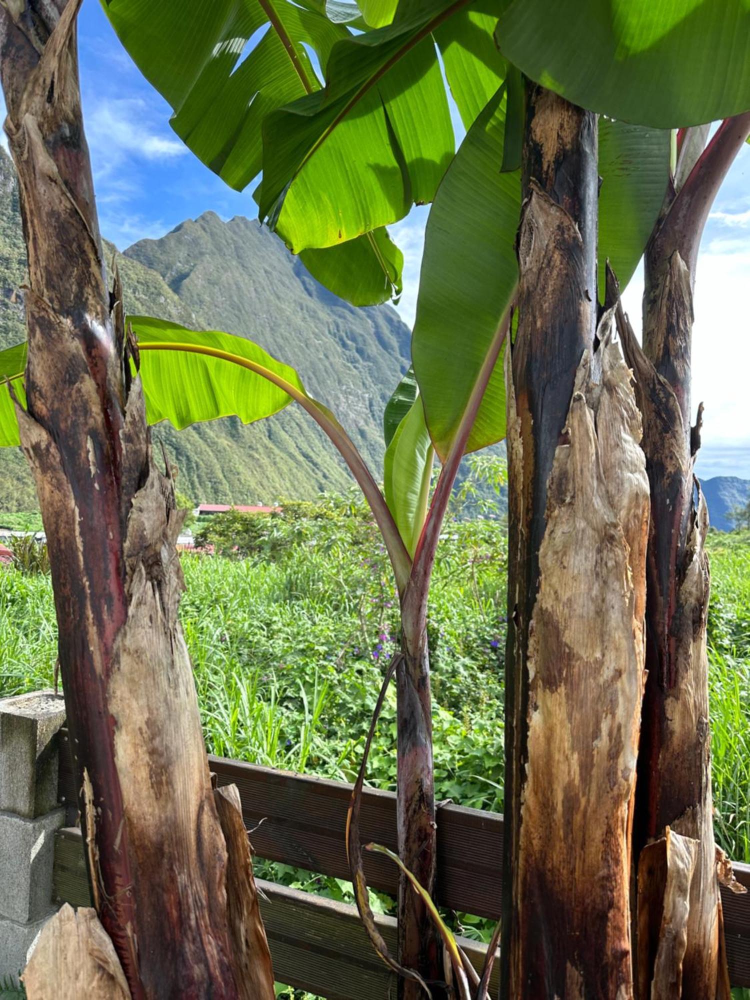 Les Lodges De Salazie Luaran gambar